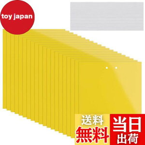 yzKALOLINNA  SV[g  QߊlS ʔS h S ȒPt Q ߒ h nG 쏜 ߊl K[fjO _ ͔| ƒ؉ CG[ (20×10cm,20)