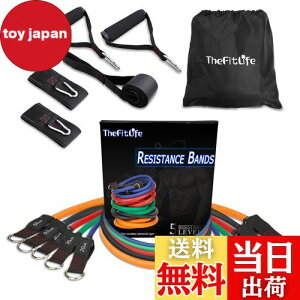 【送料無料】TheFitLife トレーニングチューブ チューブ トレーニング 筋トレチューブ (青/緑/赤/黒/橙)