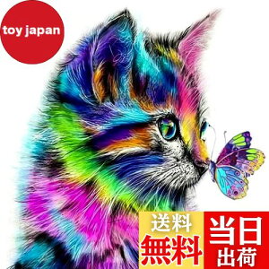 yz5d_ChA[g Lƒ 5D _Chh UCNA[g _ChyCeBO Lbg r[YG Sʓ\t^Cv r[YA[g UCNr[Y |pi 