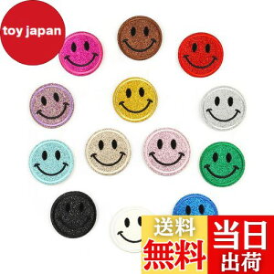 yzYFFSFDC ACby hJ X}CbyZbgɂ DIY   qp ct ۈ牀  pb` Cy13Fz