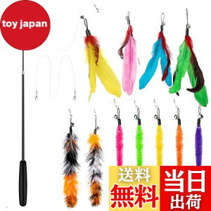 yz14 _Zbg L ColiChili L炵 VR Ĥ pH11 _t pނ莅2 ԂԂ ybgObY ˂pi