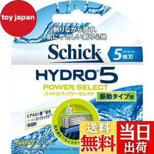 yzVbN Schick 5n nCh5 p[ZNg ֐n (4R) E J~\
