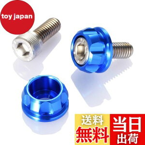 yzfCgi(Daytona) PREMIUM ZONE(v~A][) oCNp io[v[g {g M6×15mm z_[Zbg 2 u[ 91946