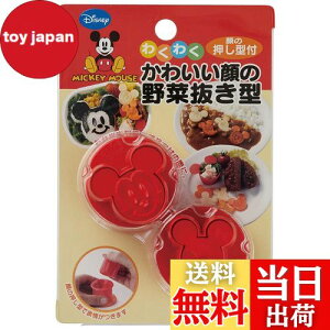 yzXP[^[(Skater) ؔ^ { fBYj[ ~bL[}EX LKVN1-A