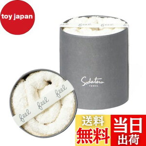 yzĂ^I feel tFCX^I 34×85cm 100 {bNX (~Xg(n))