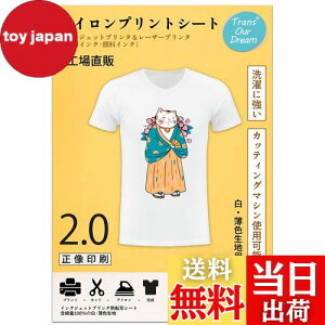 yzTransOurDream ^̓]ʃV[g ACvgV[g2.0  ?Fnp A4 20 vgV[g ]ʎTVc]ʃV[g M]ʃV[g ɋ JP-2-20