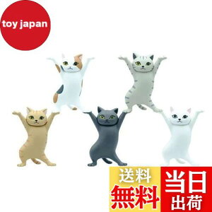 yzMRZJ JKRLyz_[lR̃y S5Zbggyz_[ (5PCS)