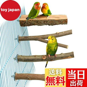 4_Zbg  ~܂ ~܂ ܂𖁂񂲂̖ R ނ ܂ p[` CR IE   ZLZCCR IJCR ₷݃{[h Vѓ P[WANZ