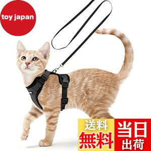 yzRabbitgoo L n[lX [h Zbg ^ Lp Ȃ ́[˂ \tg y グ TCY߉ lR U R 锽 ʋCbV Pݖh~ 