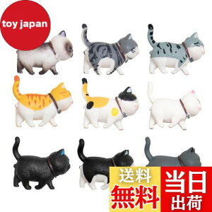 yzKALOLINNA tBMA L qLߋZbg 9Zbg LObY ~jgC  킢 K[fI[ig ԓ CeA  G LL ap[e