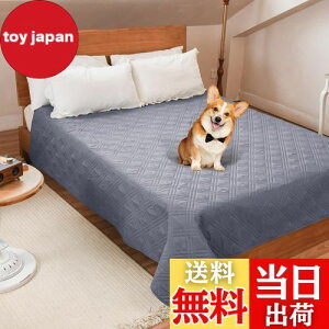 LOOBANI hJo[ xbh hV[c VO _u xbh  Lp xbhJo[ h \t@[ hV[c Rh~ ~ ƋveN^[ ۂƐ􂦂 ݑϐ  L h_j 