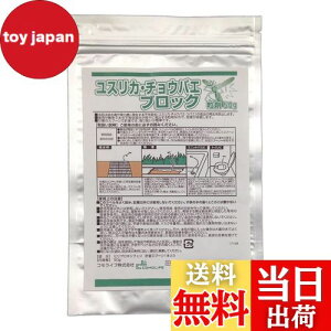 yzRCt(Comolife) XJE`EoGubN50g Q΍ } a  gC J}X(:1~2)