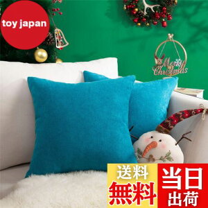 yzTopfinel NbVJo[ lۂ 50×50cm k  Ȗ n \t@w Jo[ zcJo[ u[ 2ZbgiS10Fj