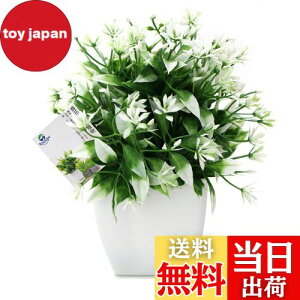 yzTOSSOW lHϗtA  tFCNO[ tFCNϗtA l CeA v[g ΂Ɣt