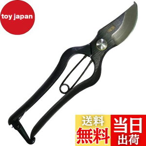 yzߗ^(KONYO) { ł  炩Ȑ؂ƊmȐ؂ꖡ ̂Â̊XuVOsv̏ɂ`Zp 20.5cm