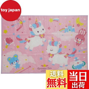 yzXP[^[(Skater) qp W[V[g  STCY 60×90cm jR[ 20 VS1