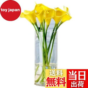 ? KX ԕr Ԋ V_[ ~ ԕr KX ԕr   ԕrk ԕr 30cmt[x[X Ԋ oXPbg ԕr K[f KX Of[V  Vv  L 