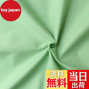 yz{Rtf(Nippon Chuko) GCeBXNGA n n 100% V[eBO xr[O[ O[n Ж110cm×50cmؔJbg KD4630-122-50CM n nn GCeBXNGA