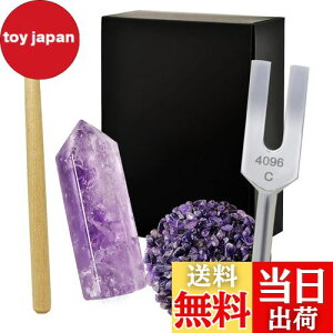 yzNX^`[i[ 4096Hz  VR 򉻗p 5_Zbg bNX {t AWXg WH26 - Purple