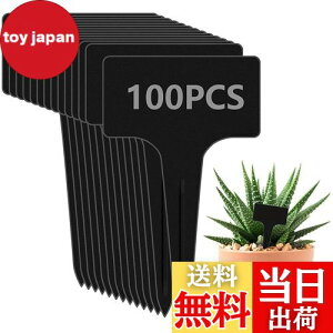 yzzakata |x A^O Ax  T^x 100 | Ԓd A K[fjO Ďgp\ K[fjO Ŕ ~j CeA |pi