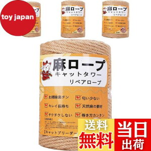 yzyƊďCz[v  6mm R Ђ yA[v L^[ XNb`[ ܌ Lbg^[p ܂Ƃ  DIY |(100m)