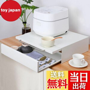 Tydle 【レンジ下スライドテーブル+引き出し】 キッチン家電下引き出し キッチンラック 2段 レンジ台 レンジラック 約横45×奥行37×高さ13.5cm キッチン収納 レンジ下収納 トースター台 マグネ