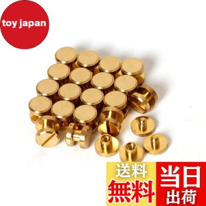 yzVJSXN[ 20 8×4×3mm ^JglW R` obO xg т傤 xbg X^bY p[c e xbg X^bh lW U[Ntg DIY nhCh p[