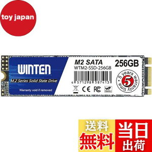 yzWINTEN SSD M.2 SATA 256GB 2280 3D NAND SATA3 6Gb/siőǎ 500MB/s ő发 500MB/sjG[@\ ȓd Ռɋ ^yzWTM2-SSD-256GB 6083