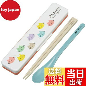 yzXP[^[(Skater)  Xv[ RrZbg 18cm RۉH ٓ lp VRNbVtŉȂȂ { ˂ Jt CCS3SAAG