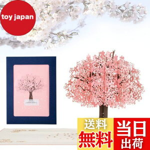 yzKesote bZ[WJ[h  ̃J[h |bvAbvJ[h o^C    t