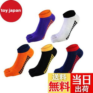 yz[fX] 5{w\bNX C 24-28cm Y ܖ{w\bNX rWlX\bNX VR z RۖhL X|[c\bNX 5Zbg