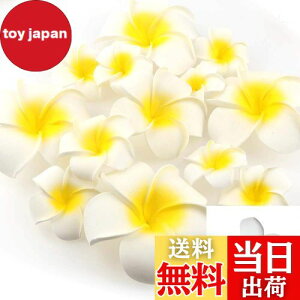 yzYesallwas wA Nbv s vA  7cm 20Zbg Ԃ̂  wA Nbv s vA   DIY  p[eB[p t ʐ^Be