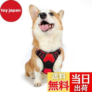 【送料無料】Rabbitgoo 犬 ハーネス 中型犬 13-20KG ソフト かわいい 犬用胴輪 引っ張り防止 負担が少ない首輪 サイズ調整可 夜間反射 抜けない 通気性 咳き込み防止 散歩 歩行補助 老犬介護 しつ