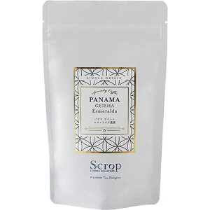 yzyI R[q[zScrop pi} GX__ QCV