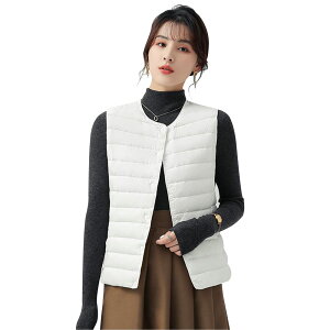 yzCLAZOLIY _ExXg fB[X Ci[ EgCg _E xXg ݂̌`ύX\ł VlbN ێ  y g h אg [ܕt CL106