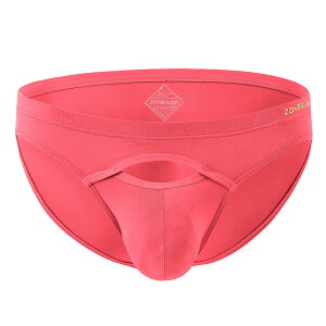 yz[ZONBAILON] u[t Y  pc [CY YrLj Ȃ  