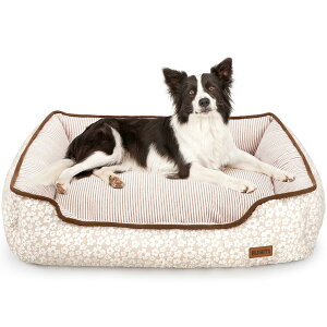 yzybgxbh Lp pxbh {bNXxbh Q ʔN^Cv o[VuNbVt 􂦂 _炩 ӂӂ ^/Lp ʔN I[V[Y 