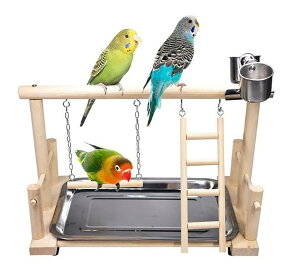 yzumely   Vѓ uR ~܂ ͂ ؐ {[  o[hgC X^h CR IE 