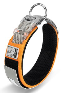 yzcocomall{X 2023ŐV ̎ ^A^A^p ybgpi 3Mˍޗ iC ʋC e͐ \tg ߉\  pP