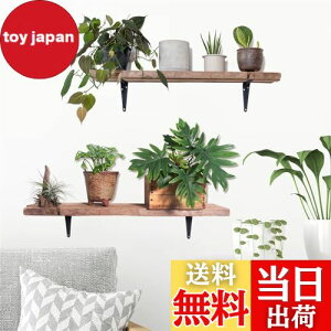 yzHOTIYOK ins EH[XebJ[ k A  ǃXebJ[   ǂɓ\ Ǐ diy ǎ  V[  j̎q ̎q Q q  EH[ y[p[ A[g 