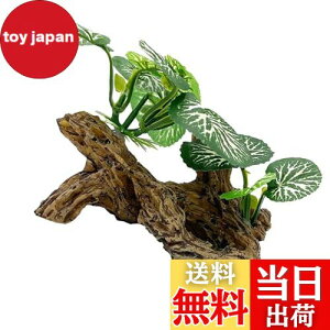 yzDFsucces ANAE p lH  I[ig  ANAE ̂ DIY ͋C  S ϋv