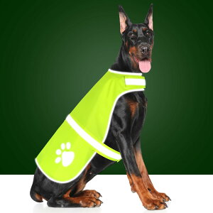 yzCandofly Ŝ߂̔ˌxXg - FuybgxXgyʃWPbgˌn[lX̎ULvp