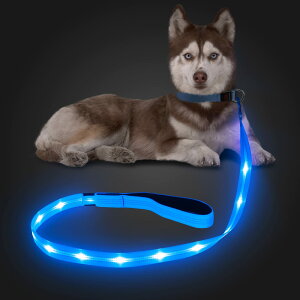 yzCandofly ˌ^ LED p[h - ÈłŌ USB [dƖt[vA4 tB[g̑ϋvϐ_ŁAybg̖̎Up