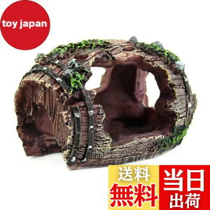 yzDFsucces ANAE p IuWF M B  I[ig  ANAE ̂ DIY ͋C  S ϋv