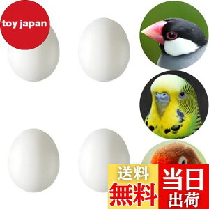 yzLYHMHAMY U vX`bN 4Zb  CR  g _~[ ZLZCCR  ɐBpi ɂHiTv DIY i  K[fjO ANZT[