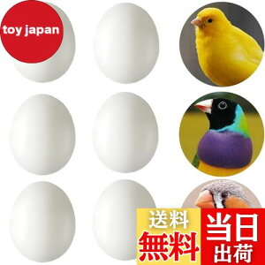 yzLYHMHAMY U vX`bN 6 Zb  CR  g _~[ ZLZCCR  ɐBpi ɂHiTv DIY i  K[fjO ANZT[