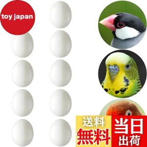 yzLYHMHAMY U vX`bN 10Zb  CR  g _~[ ZLZCCR  ɐBpi ɂHiTv DIY i  K[fjO ANZT[