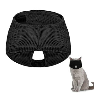 yzLp }XN ډB ybg tFCX}XN  ʋC ی}XNܐ؂⏕p | }XN ݂h~ L𗎂AL̉aACAܐ؂AAOo