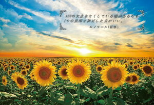 yzG|bN 108s[X WO\[pY COi