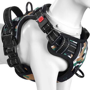 yz[2025ŐV^n[lX]BaoCheng p Ԍpn[lX A^}ʂ ^ ^ ^ p h~ P݌y TCY\ Ԕˍ Ȃ ʋC